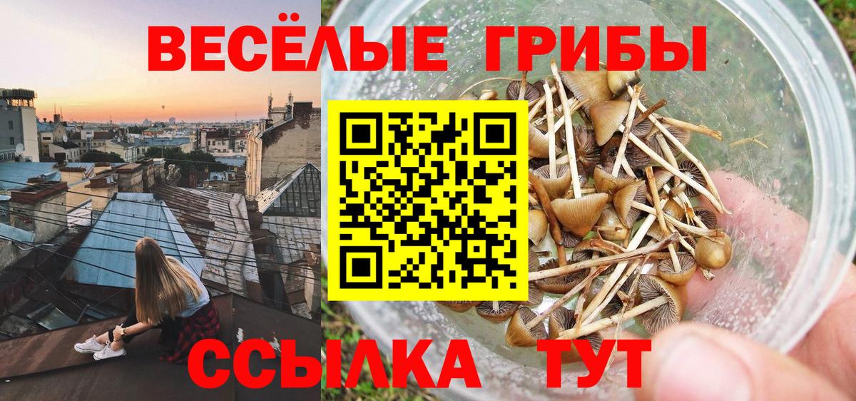 Галлюциногенные грибы MAGIC MUSHROOMS Ковров